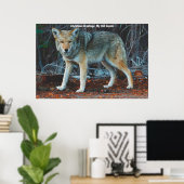 Kerstgroeten van mijn oude Coyote Poster (Thuiskantoor)