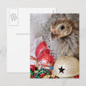 KerstGuinee Feestdagenkaart (Voorkant / Achterkant)