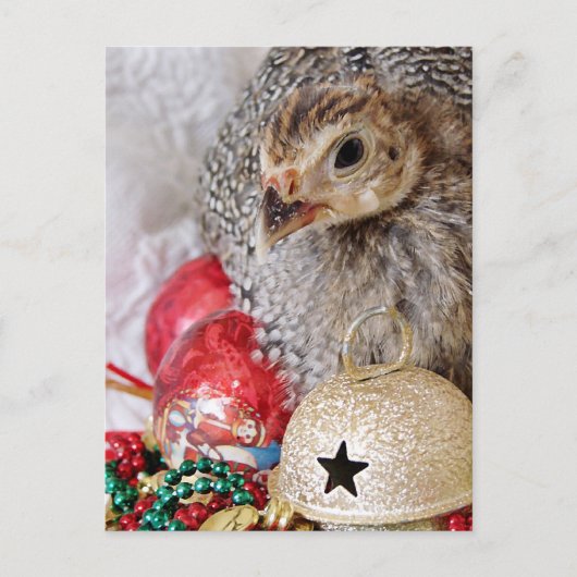 KerstGuinee Feestdagenkaart (Voorkant)