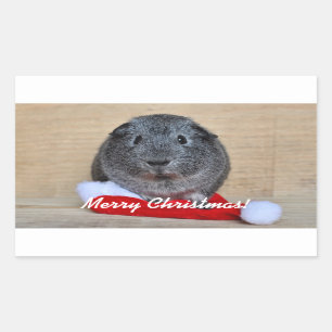 KerstGuinee Rechthoekige Sticker