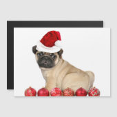 kersthond (Voorkant / Achterkant)