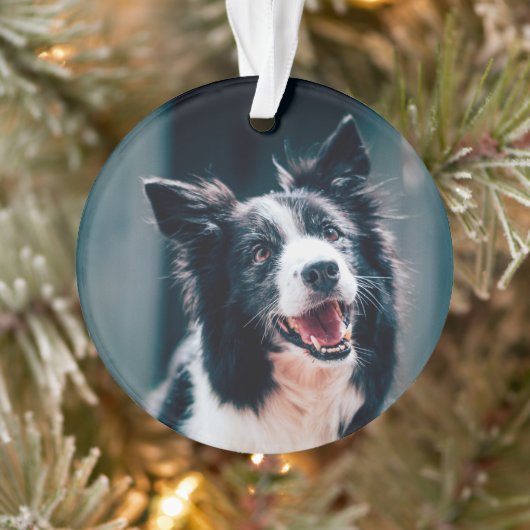 Kersthond Foto Ornament (Boom)