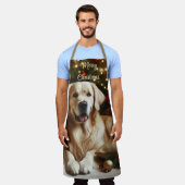 Kersthond Golden Retriever Schort (Gedragen)