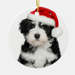 Kersthond Havanese Puppy Dog Keramisch Ornament