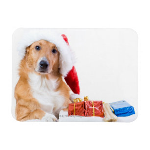 Kersthond met mierkleurige cadeaus magneet