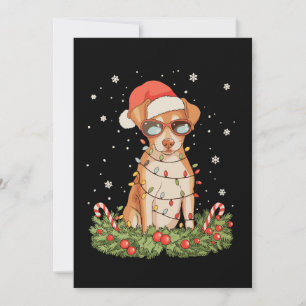 Kersthond Pinscher Kerstmis Kerstman Hoed Vakantie Feestdagenkaart