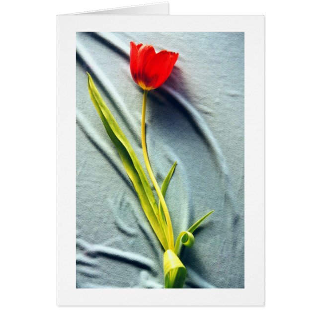 Kerstin's Red Tulip Card (Devant)