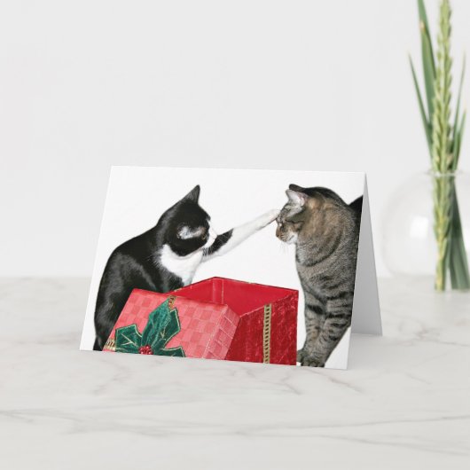 Kerstjaloezie Feestdagen Kaart (Voorkant)