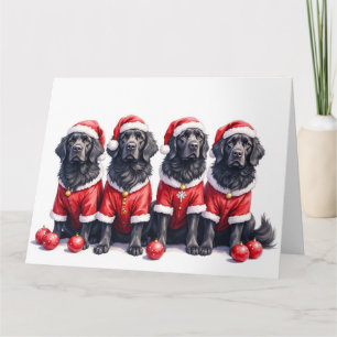 Kerstjurk voor Newfoundlander met kerstmuts Kaart