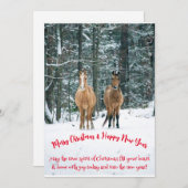 kerstkaart (Voorkant / Achterkant)