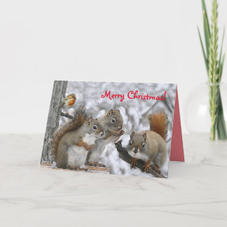 Kerstkaart 7 x 5" met Mr. Bickles Kaart