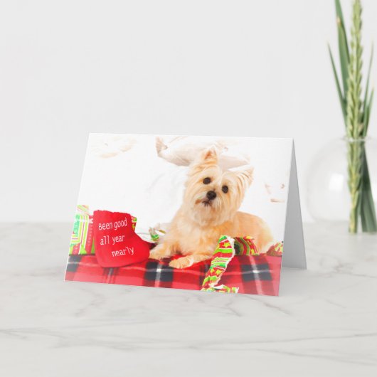 kerstkaart airn Terrier Feestdagen Kaart (Voorkant)
