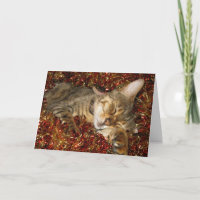 Kerstkaart - Bengalen kat