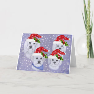 Kerstkaart Feestdagen Kaart