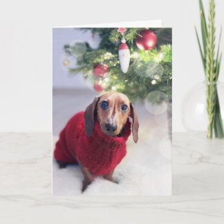 Kerstkaart Feestdagen Kaart