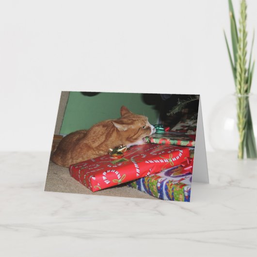 Kerstkaart Feestdagen Kaart (Voorkant)