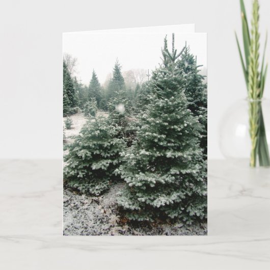 Kerstkaart Feestdagen Kaart (Voorkant)