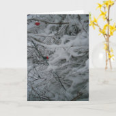 Kerstkaart "Feestelijk Gefluffd" Kaart (Gele Bloem)