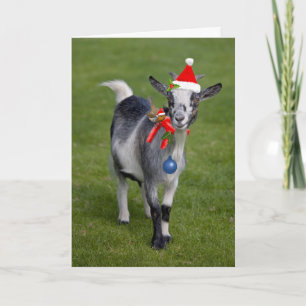 kerstkaart kaart