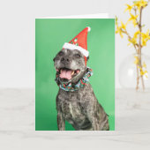 Kerstkaart Kaart (Gele Bloem)