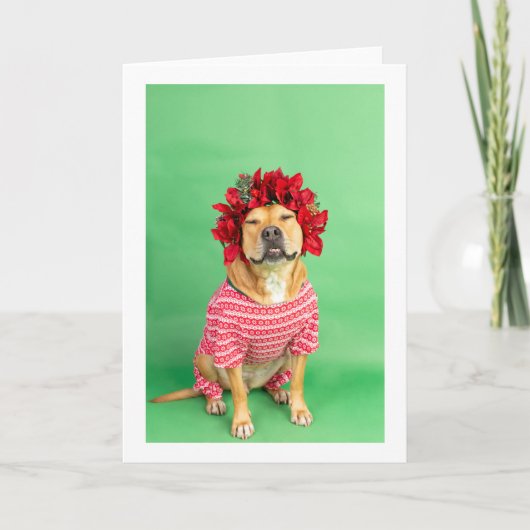 kerstkaart kaart (Voorkant)