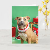 Kerstkaart Kaart (Gele Bloem)