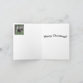 Kerstkaart - Kangoeroe Kaart (Binnen)