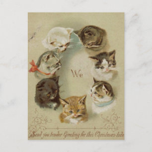 Kerstkaart Katten Briefkaart