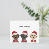 KerstKaart met drie labrador Briefkaart (Staand voorkant)
