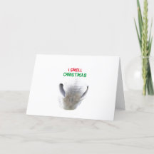 kerstkaart met ezelneus