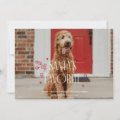 Kerstkaart met favoriete grappige huisdierenfoto v kaart (Voorkant)