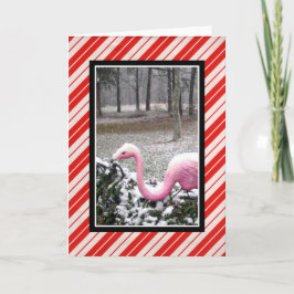 Kerstkaart met flamingo's feestdagen kaart