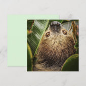 Kerstkaart met Malse Luiaard (Voorkant / Achterkant)