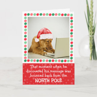 Kerstkaart met Noordpoolhond dubbelgevouwen Feestdagen Kaart