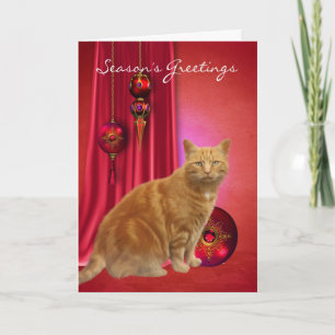 kerstkaart met oranje kat en kerstversiering feestdagen kaart