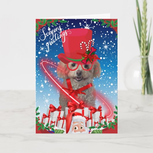 Kerstkaart met Poodle Seizoenen Kaart (Voorkant)