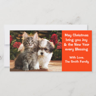 Kerstkaart met puppy & kitten