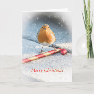 Kerstkaart met Robin & Christmas snoep Sweet Feestdagen Kaart
