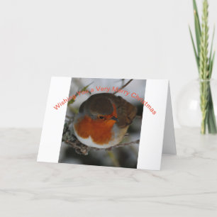 Kerstkaart met Robin Feestdagen Kaart