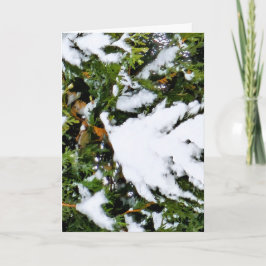 Kerstkaart met sneeuw op takken kaart