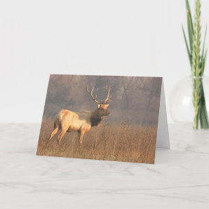 Kerstkaart met Tule elk Kaart