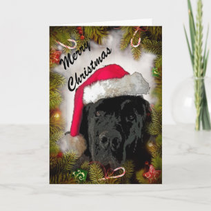 kerstkaart ~ Newfoundland Dog Feestdagen Kaart