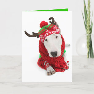 Kerstkaart-oor Bull Terrier Feestdagen Kaart