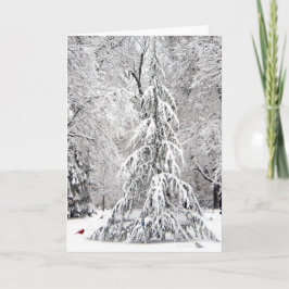 Kerstkaart: park Boston Public Garden Feestdagen Kaart