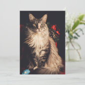 kerstkaart Smilla V2 (Staand voorkant)