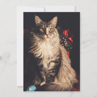 kerstkaart Smilla V2