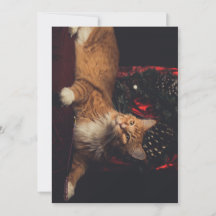 kerstkaart Tarzan V1