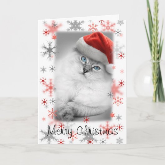 Kerstkaart van het Santa kat Feestdagen Kaart (Voorkant)