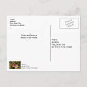 Kerstkaart van peperkoek als kerstboomversiering b briefkaart (Achterkant)