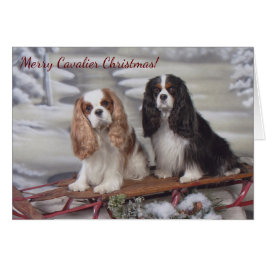 kerstkaart voor Blenheim/Tricolor Cavalier Spaniel